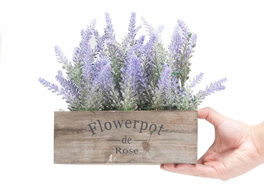 Potted plant | Spring Decor Ideas for Your Home