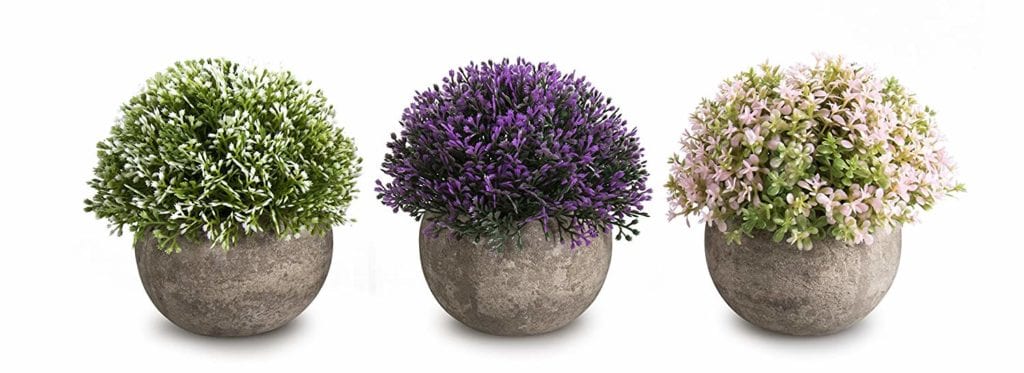 Potted plants | Spring Decor Ideas for Your Home
