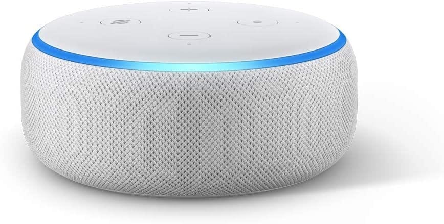 An Echo Dot Bluetooth Speaker | Must-Have Work From Home Essentials