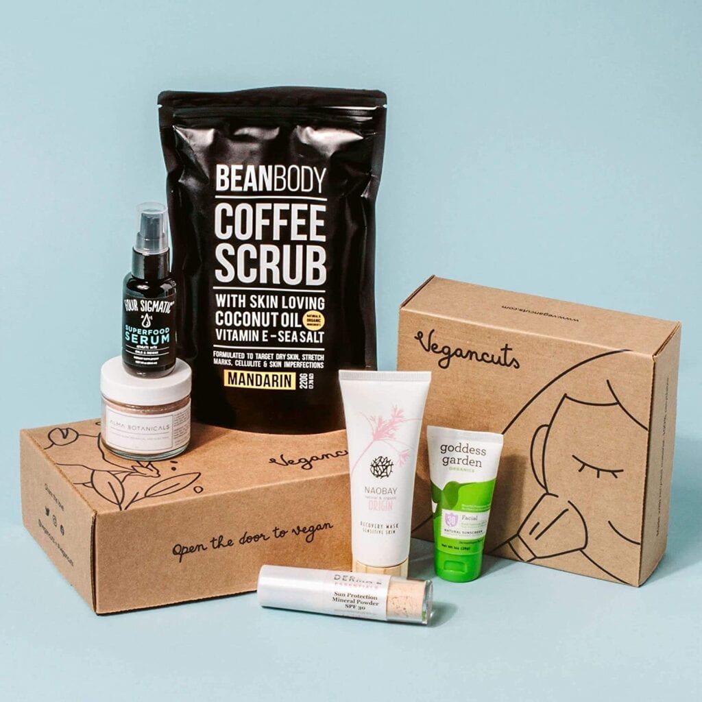 Vegancuts Beauty Box | The Best Self Care Subscription Boxes to Treat Yourself To