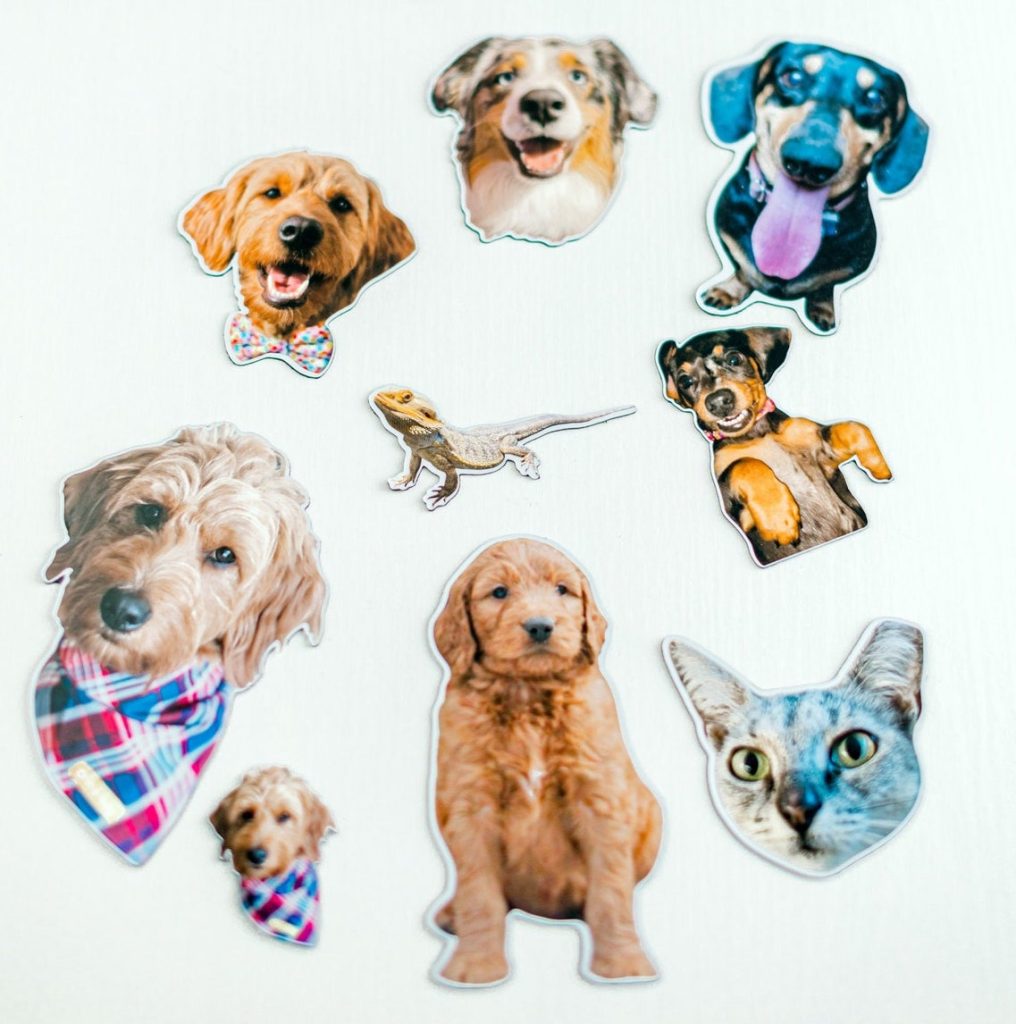 Custom Pet Photo Magnet | 30+ Fun & Unique Gifts for Dog Moms | Basic Housewife