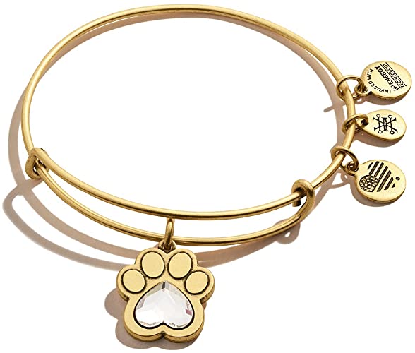Alex & Ani Paw Print Bangle | 30+ Fun & Unique Gifts for Dog Moms | Basic Housewife