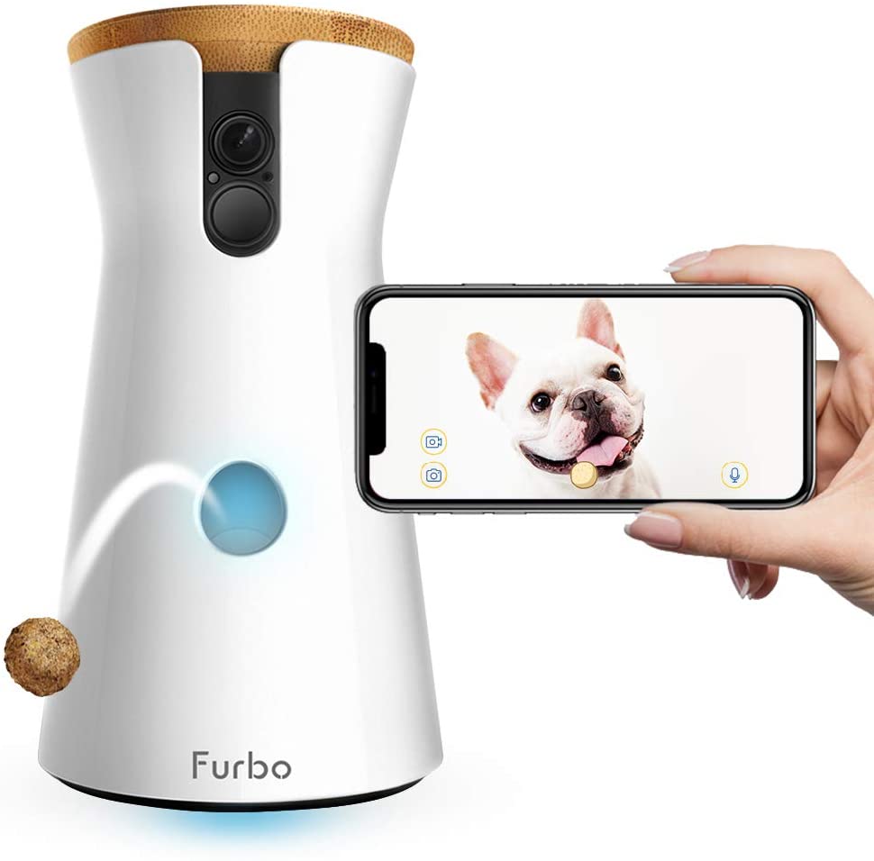 Treat Tossing Dog Camera | 30+ Fun & Unique Gifts for Dog Moms | Basic Housewife