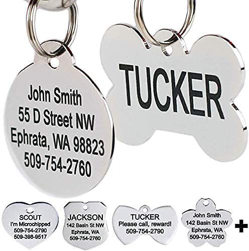Stainless Steel Dog Tag | 30+ Useful Dog Accessories For New Pet Owners | Basic Housewife