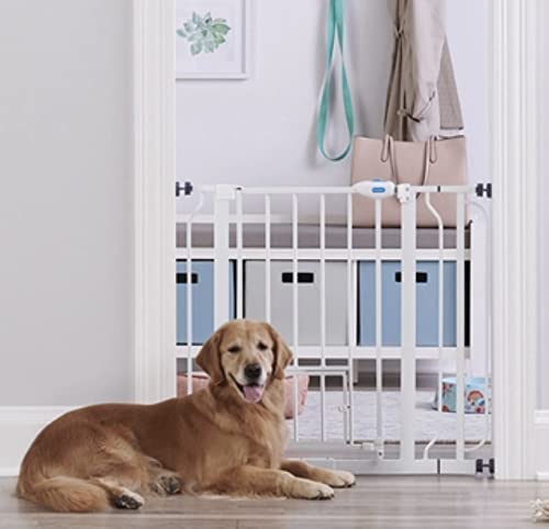 Pet Gate | 30+ Useful Dog Accessories For New Pet Owners | Basic Housewife