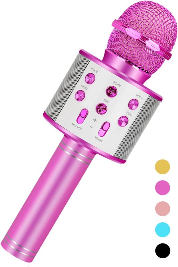 Karaoke Microphone |