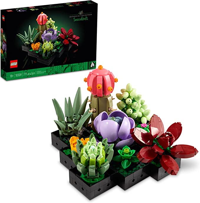 LEGO Succulent Set | Gift Ideas for Teens: The 40+ Best Gifts for Teenagers | Basic Housewife