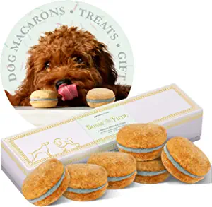 Handmade Dog Macarons | The Best Dog Gifts To Treat Your Furry Friend To | Basic Housewife