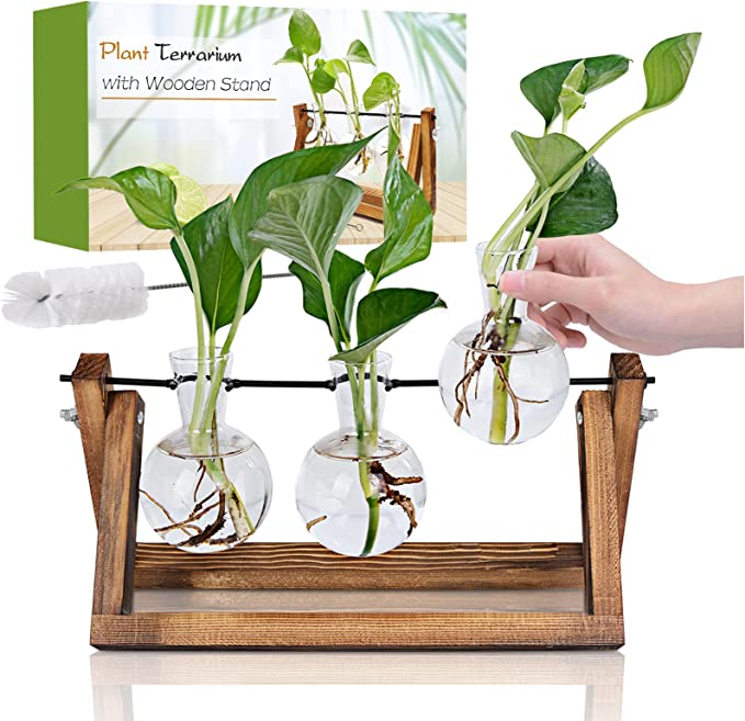 Plant Propagation Station | 25 Unique Gifts for Plant Lovers | BasicHousewife
