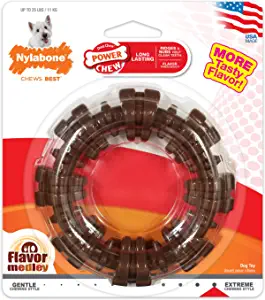 Power Chew Ring Toy | The Best Dog Gifts To Treat Your Furry Friend To | Basic Housewife