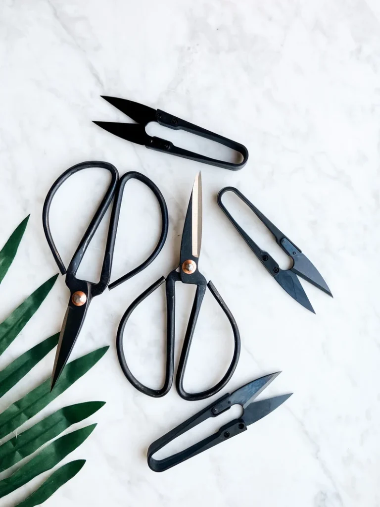 Scissors & Pruners Set | 25 Unique Gifts for Plant Lovers | BasicHousewife