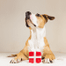 gift ideas for dogs