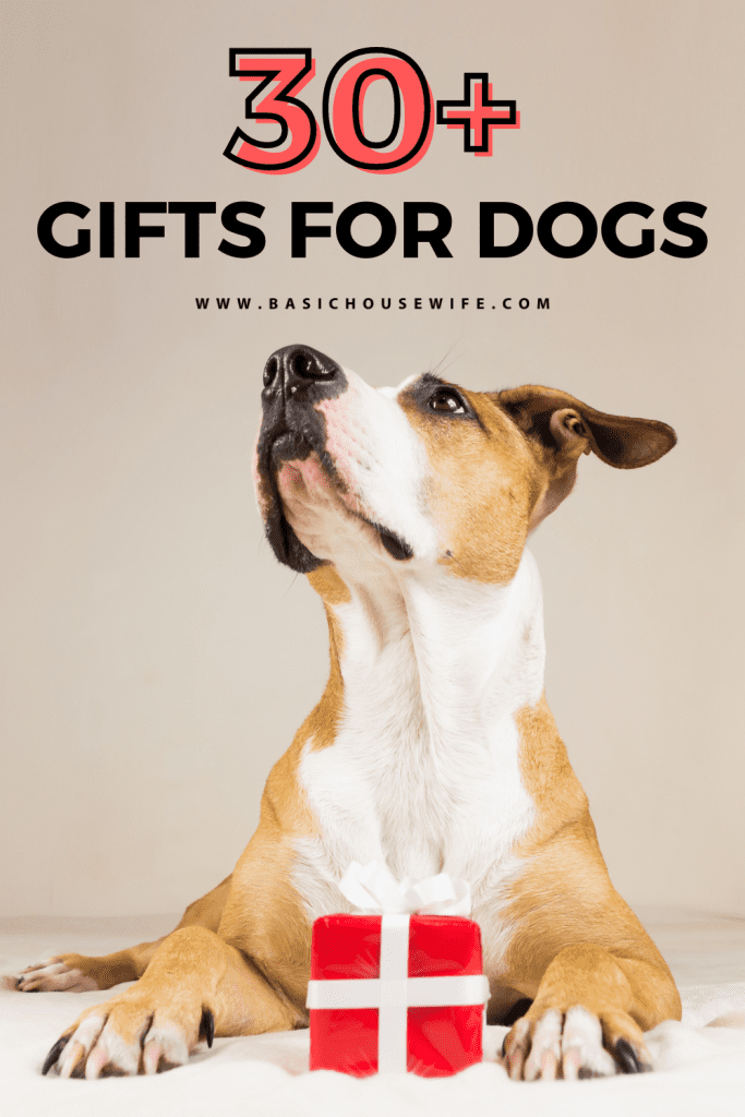 The Best Dog Gifts To Treat Your Furry Friend To | Basic Housewife