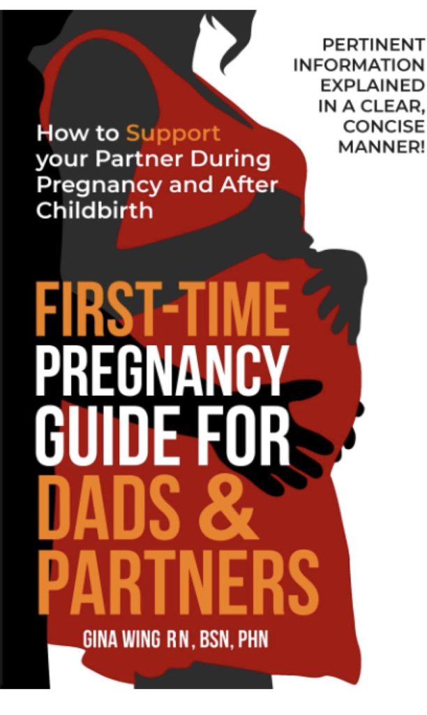 First Time Pregnancy Guide for Dad's & Partners | First Trimester Must-Haves: 15 Things A Pregnant Woman Needs